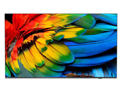 Philips 43HFL6214U 109.2 cm (43") 4K Ultra HD Smart TV Wi-Fi Anthracite 400 cd/m² Rollable display43HFL6214U/12